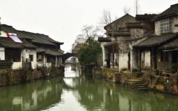救援卷耳兔