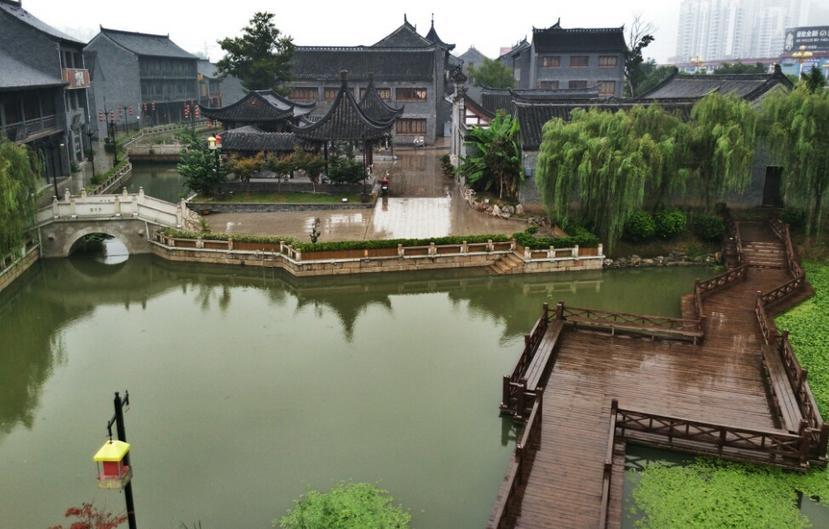 植物大战僵尸8